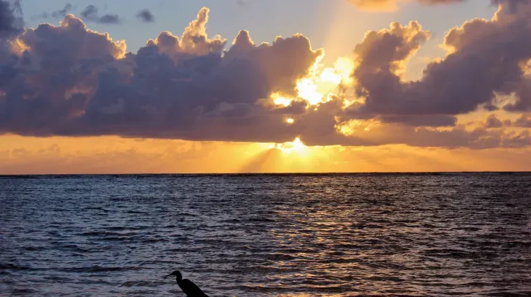 Sunset in Belize